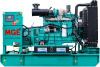 Дизельный генератор MGE P250CS в контейнере с АВР